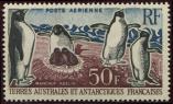 Lot n 2659 - ** - T.A.A.F. PA 5 : Manchots Adlie, TB